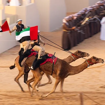 emirati-camel-racing-uae-flag-performance