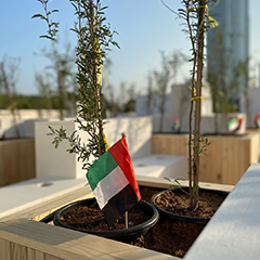 Founder’s Memorial Activation