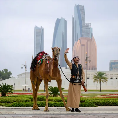 state-visit-camel-ceremonial-welcome.webp